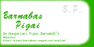 barnabas pigai business card